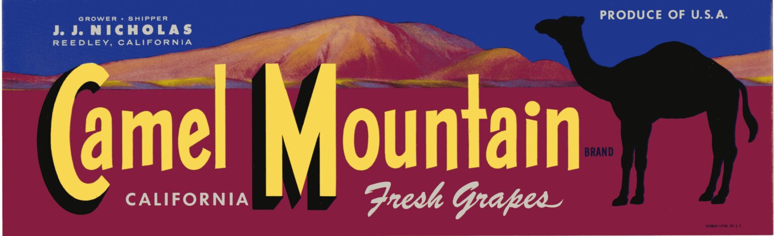 Camel Mountain